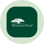 WisdomTree Floating Rate Treasury Tokenized  Fund (Ondo) icon