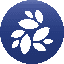 NKN icon